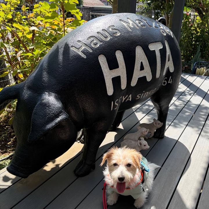 87ecbea0 a995 4009 ab4a 0eda46b63673 1758446295871