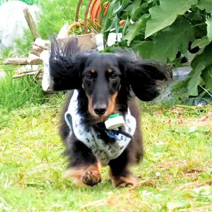 87ecc661 81f2 45b7 89e3 e04a8f61b070 1531100291632