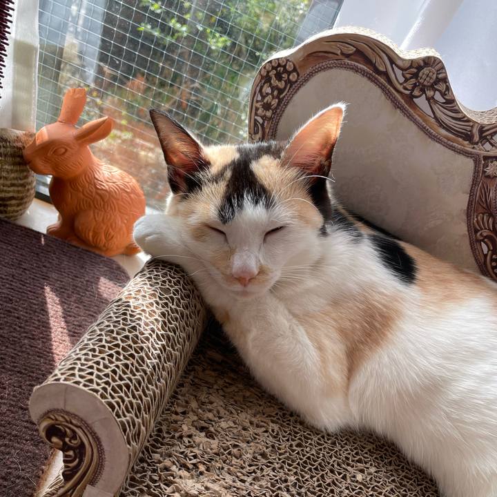 87eccdf1 fc42 42e7 b061 9a9ae73316cf 1681426976458