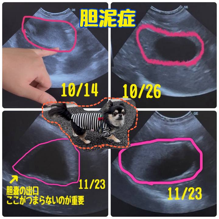 87ece905 fe96 4b42 b199 007dfeda2470 1732337599843