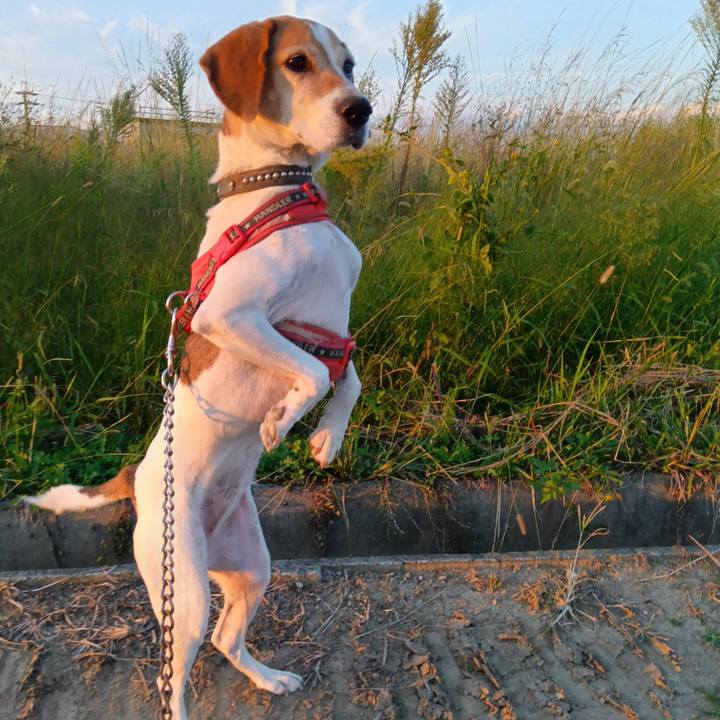 87ed0067 9e98 4577 a4a8 c8dc95829a5d 1728981918751