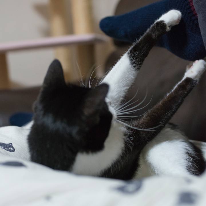 87ed1a38 74ee 4c2f a44e ce8df75a1385 1527568096401