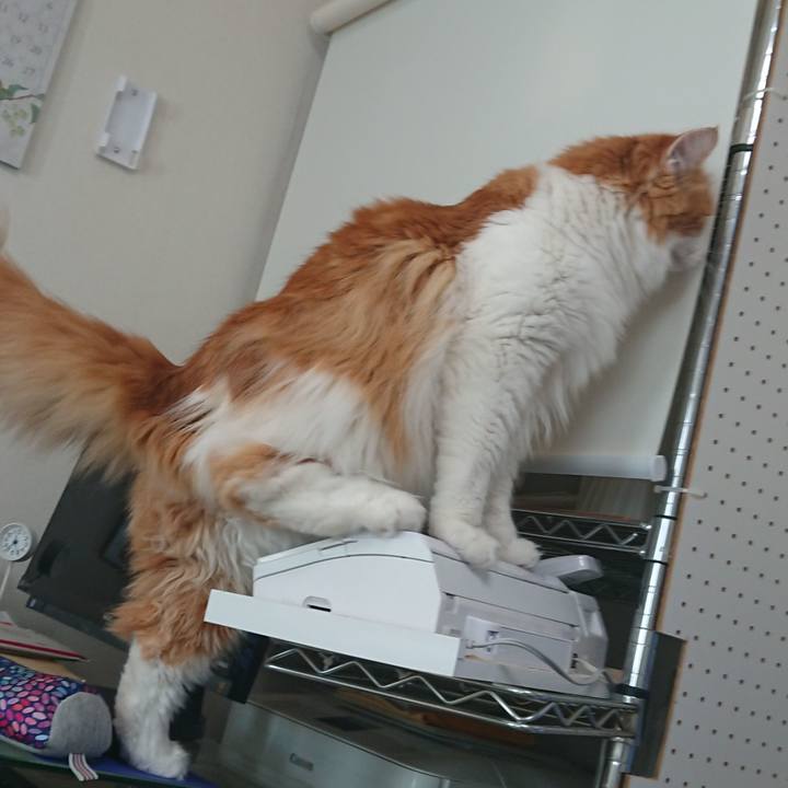 87ed2158 93b1 4bc7 bdf7 85419f8bbf00 1564060419673