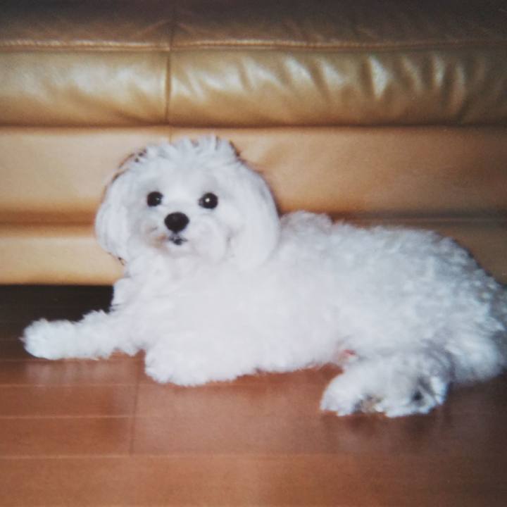 87ed2f30 0850 4fdd a8ec cc4240942218 1539926354656