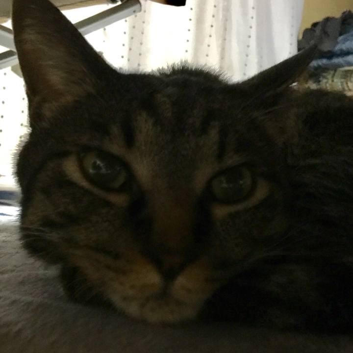 87ed80f3 2dd8 41e9 9cf6 892fbec0ef6d 1530438108901