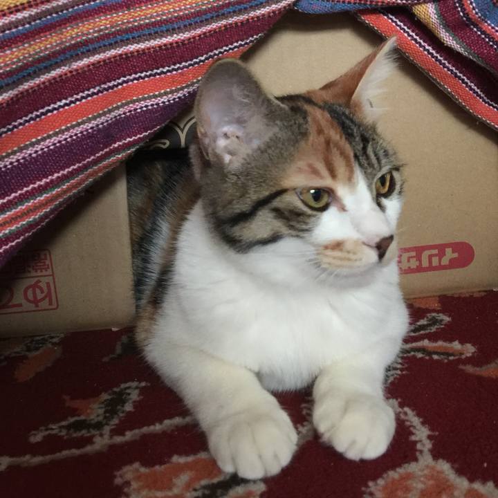 87eda0e7 e7a6 4495 b464 35d27f05f740 1640138227708