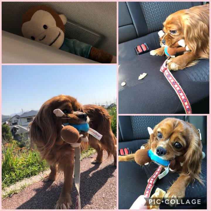 87edafac 04f7 416c af1b 706b7b15e566 1587772888883