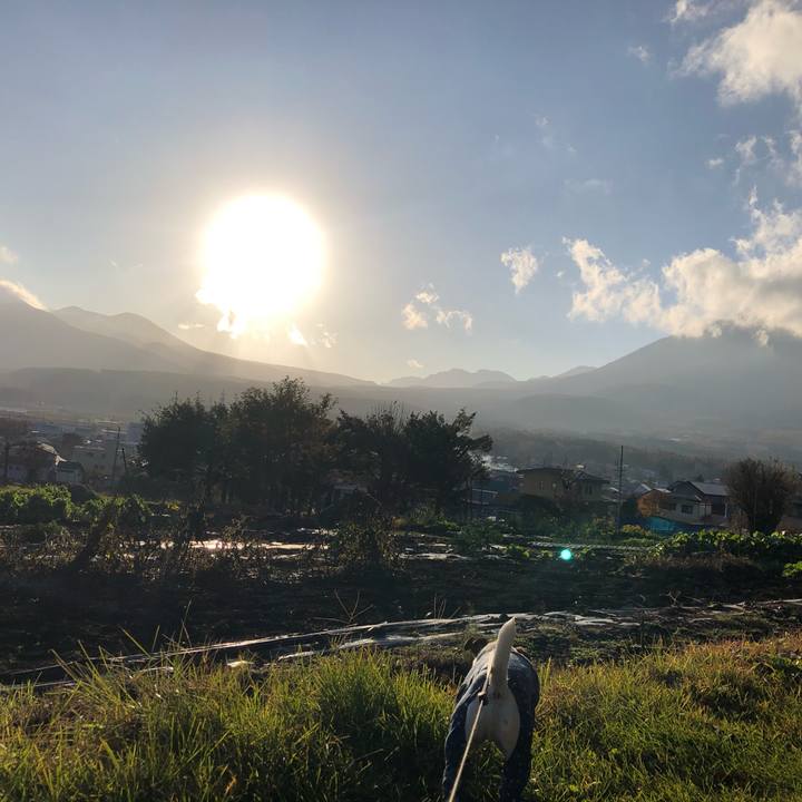 87edc013 33e6 4d26 9a65 1440cbffa6af 1573545555007