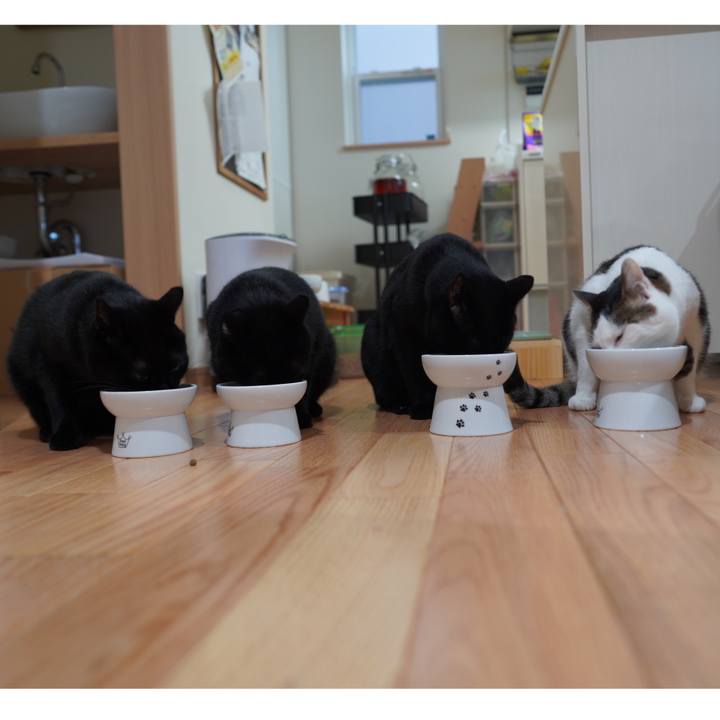 87edc82c 2e8d 48fa b6a0 54846f52d90f 1593954040896