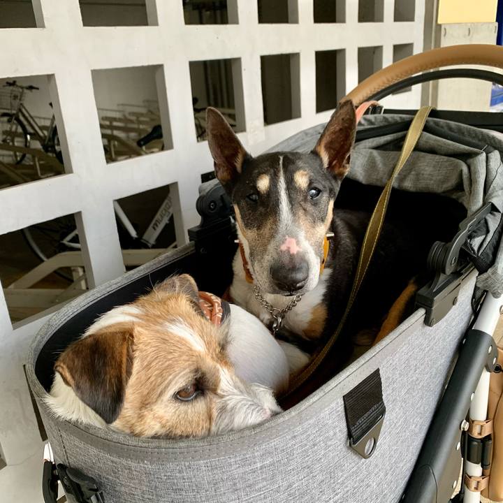 87edcb73 8600 4af2 a5c7 46beaa306d8b 1619953997424