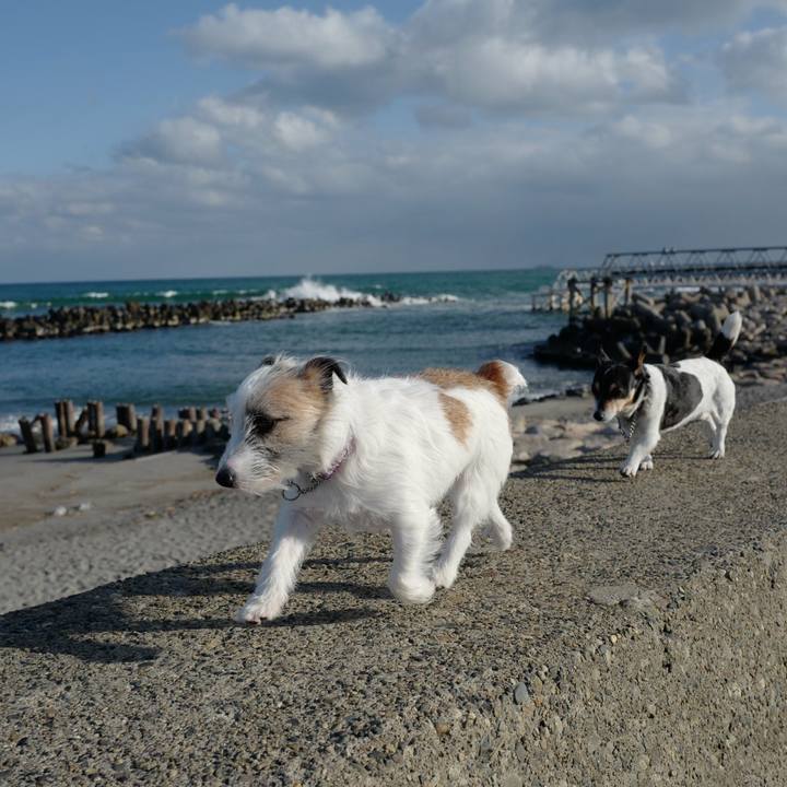 87ede343 5a06 46bc 9213 2d4b8678c662 1521262586231