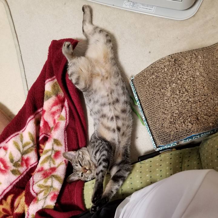 87edec1d db13 468a 95e4 a9b812323e60 1682814337626