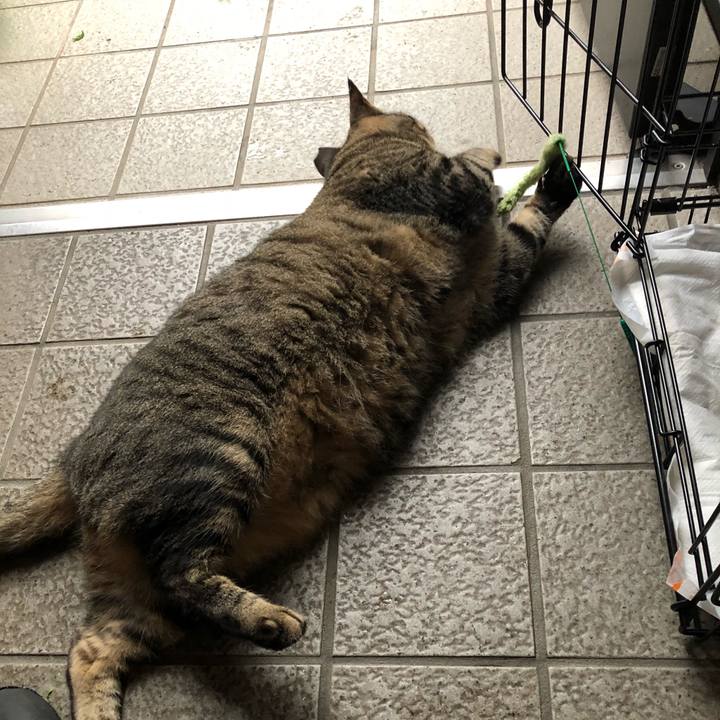 87ee646e 13f3 43d0 8a14 f9a32386e6f5 1537850508681