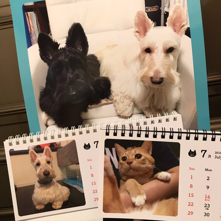 87ee6d21 fe7e 4ca3 ad9c 93bb21f8e6df 1530772031120