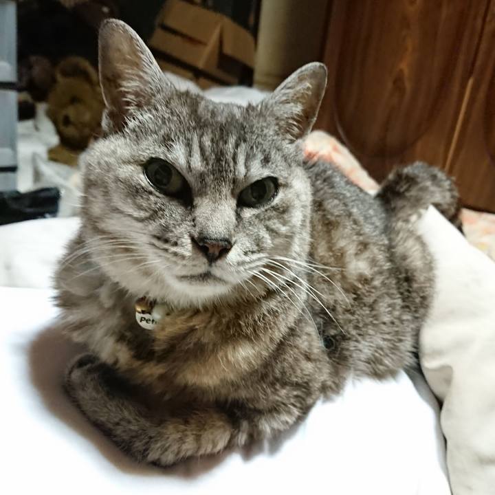 87ee95a4 aae9 41f8 b995 43e57c66e24c 1567255905483