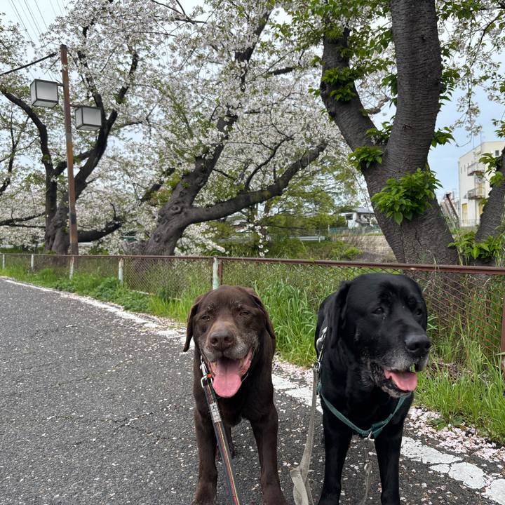 87ee99bb 5cf5 44b1 97fa fa219decb96c 1775651398582