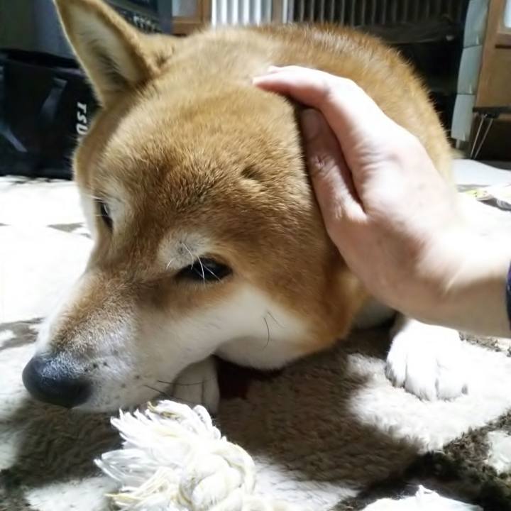 87eeaf6b 36ce 48a8 a01b 3a870ea1c65d 1545477261014