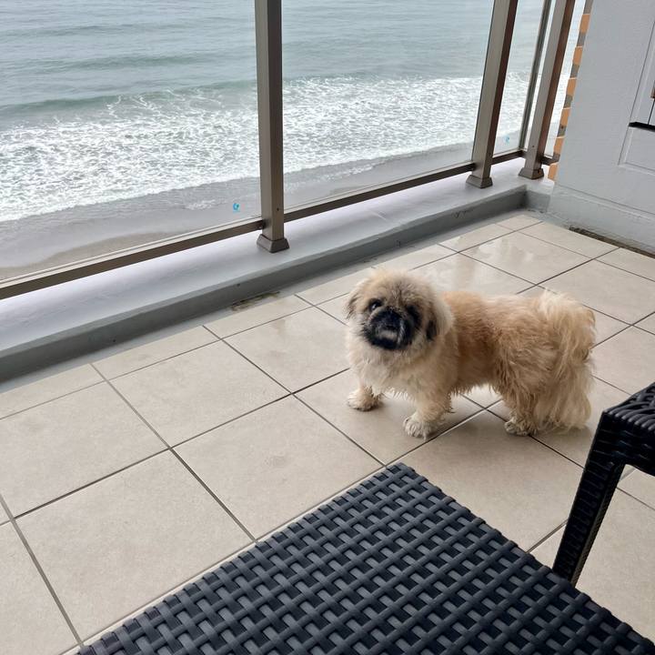 87eec18c 87de 491e bb86 ba69c337f681 1750798245535