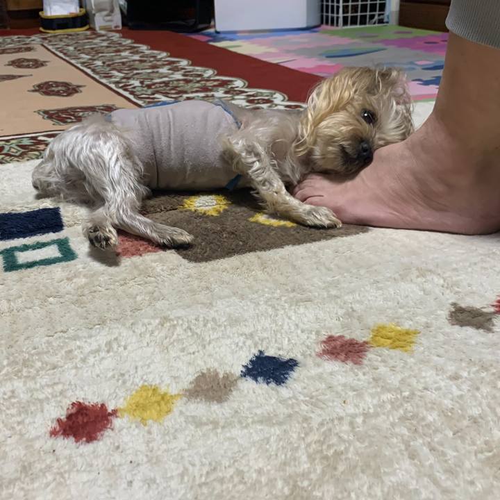 87eec725 33f1 45d8 8e02 7e7d971d1dd5 1707555513181