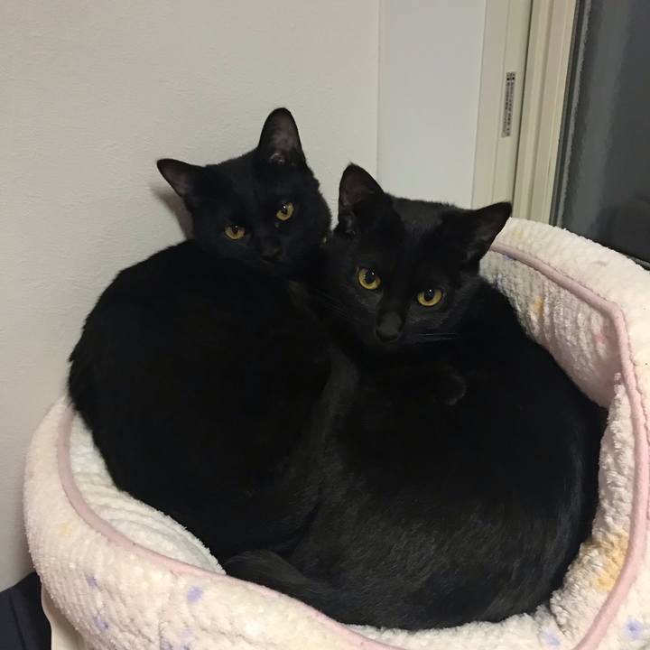 87eec782 80ad 4b4e b771 c439b205c97e 1550732347178