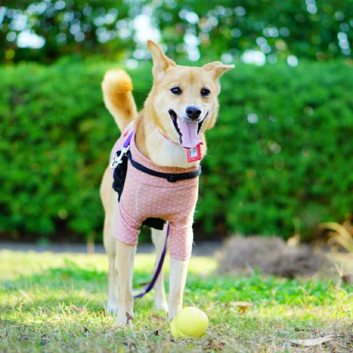 87eed423 bbad 4d6d afc5 6216ed7b0b35 1541314153802