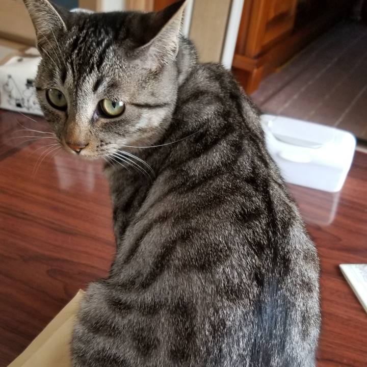 87eed62d 4353 46d7 b207 de7b733f24b5 1684850750424