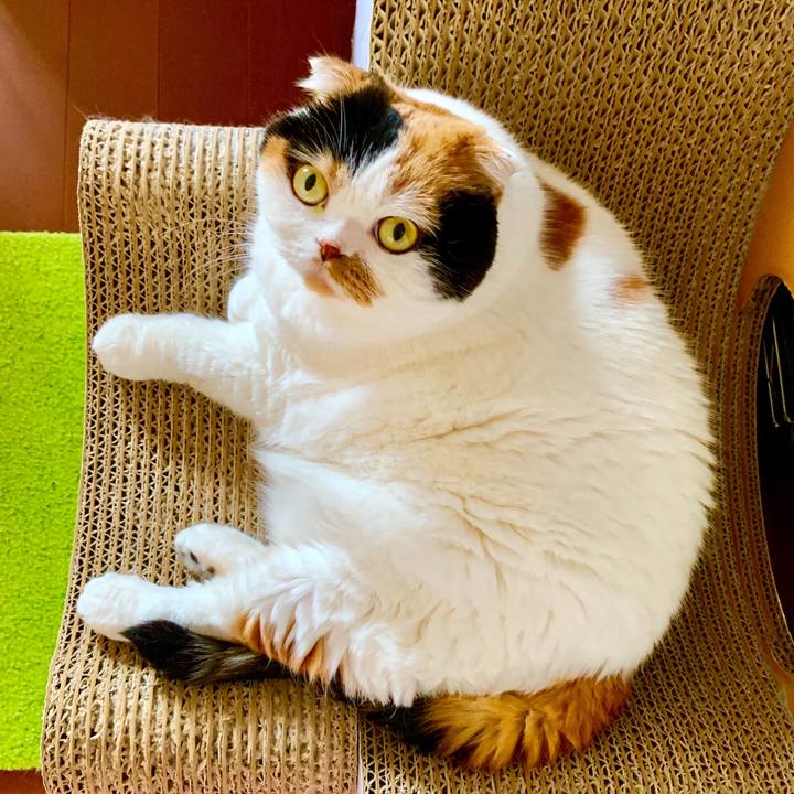 87eed9e9 a52a 495c ac61 0d521ad7bc40 1568422708400