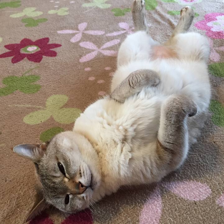 87ef1d71 1ba9 4440 9697 4d40b3477552 1527975681607