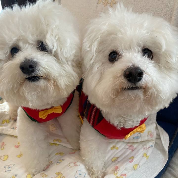 87ef39cb 8d72 4437 96be 37500f5414b8 1640398818329