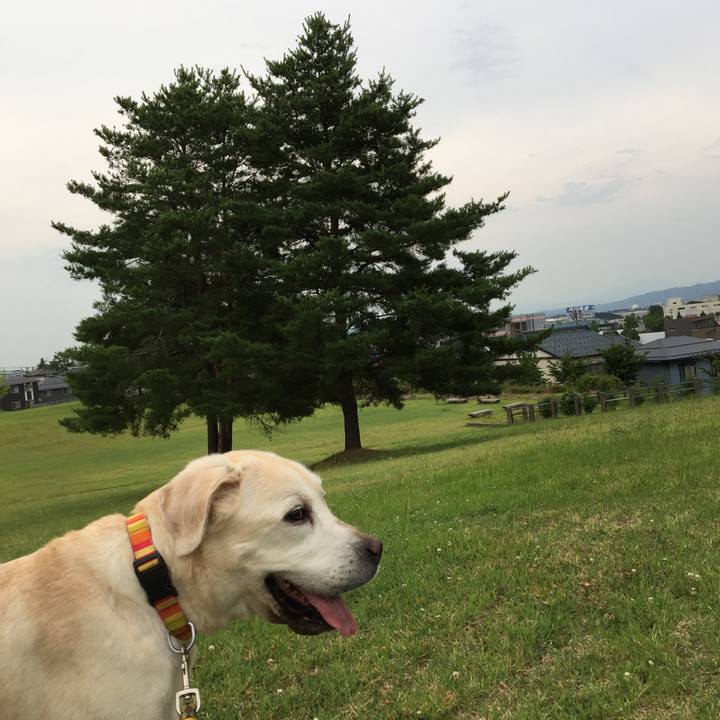 87ef5c36 890c 4ca0 bbd0 a1db5e2c60ac 1530613405737