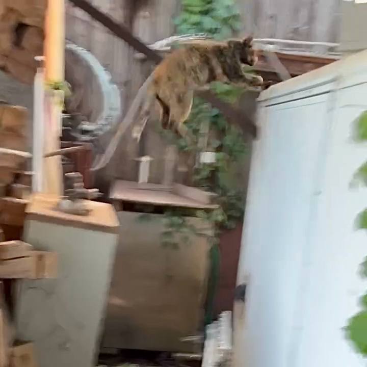 87ef89d2 2814 40f6 91ca 10cef226ccfb 1746172542933