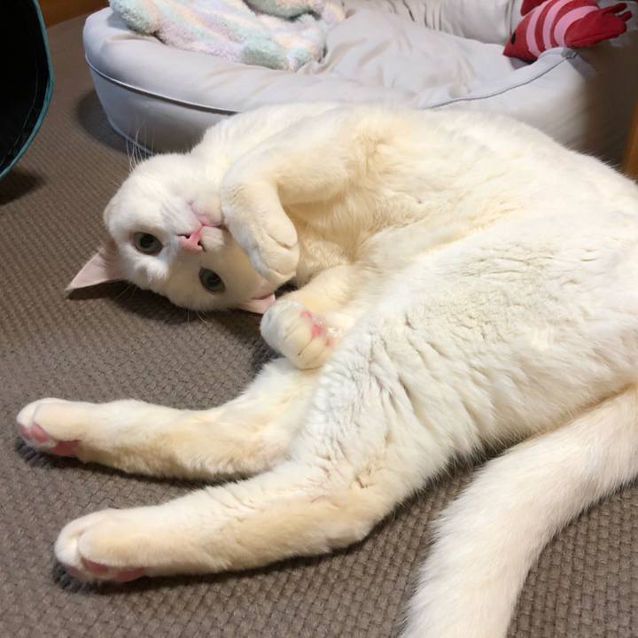 87ef9f44 083c 4a65 91fc ee1a19b7c019 1645617595244