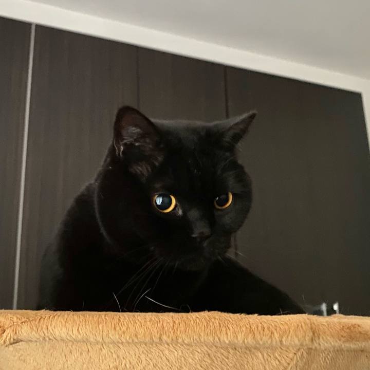 87efe1d5 7058 4cde 99fb 886ce0599a0f 1744942350138