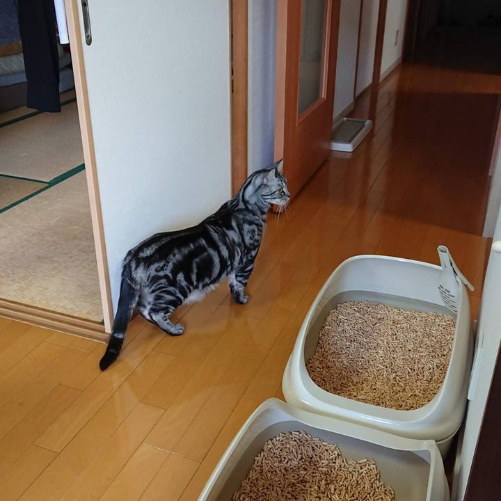 87efed21 d235 4b5b a1d5 d541e2ed9b2a 1550529453375