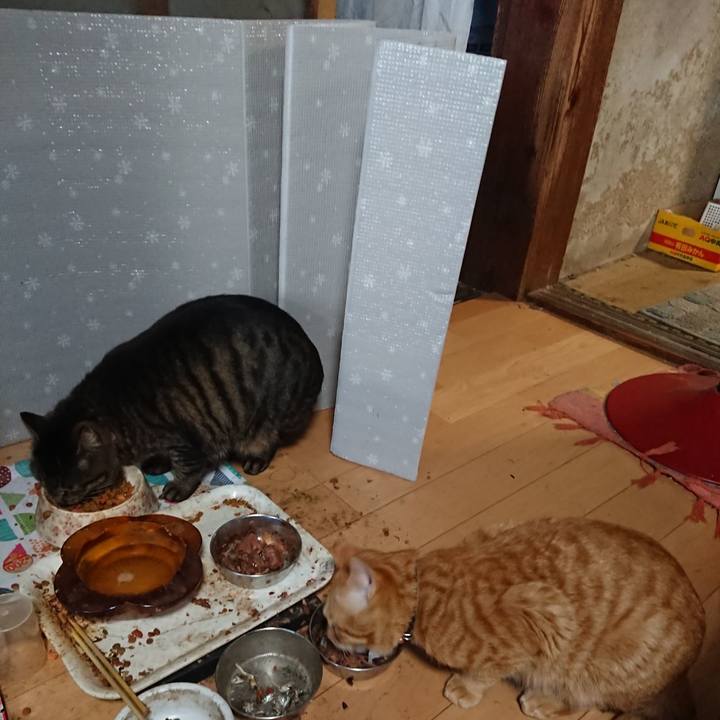 87eff5a5 389e 4585 aece f0dd2258b658 1650182246014