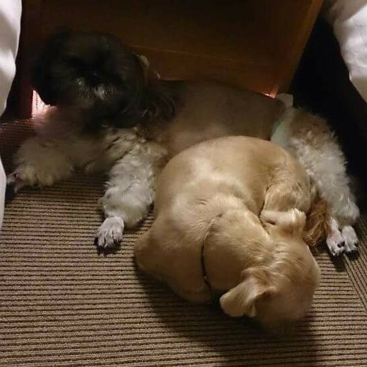 87effb16 1891 4446 b976 d18560fd54ce 1536793713560