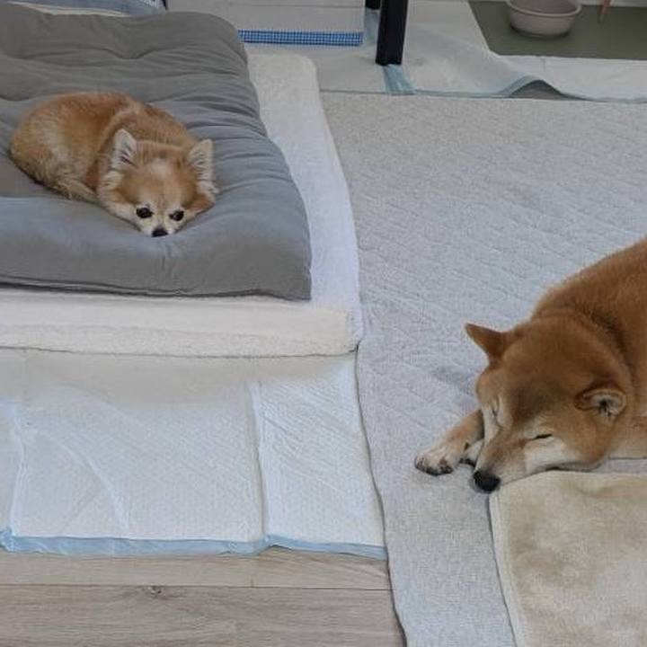 87f05d84 8636 453d 879a 16cb38a71e74 1772886944176