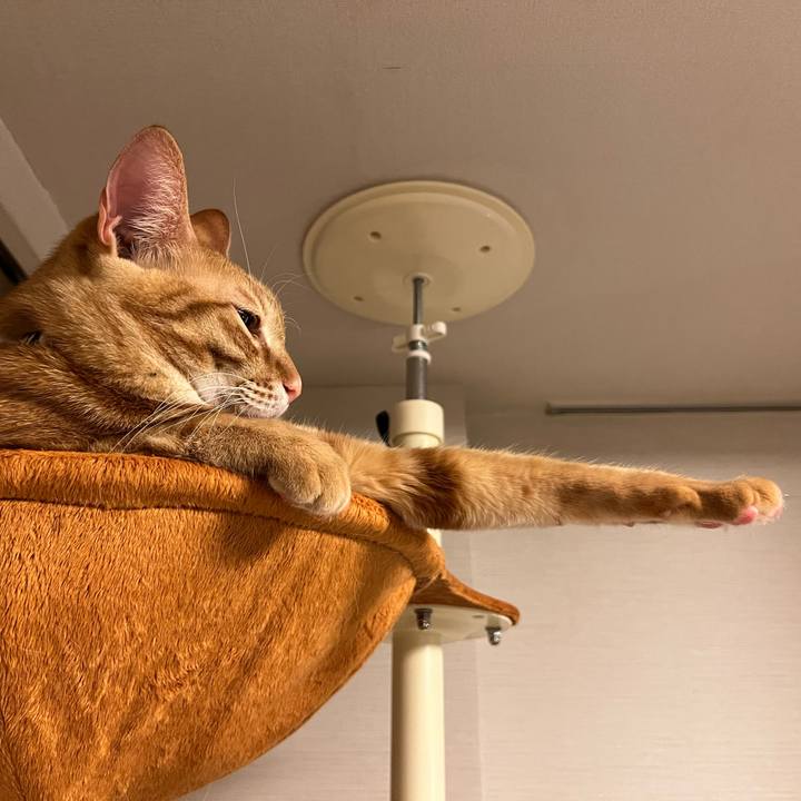 87f09ff3 9ea2 49f1 be58 16f2cfd10830 1674077079806