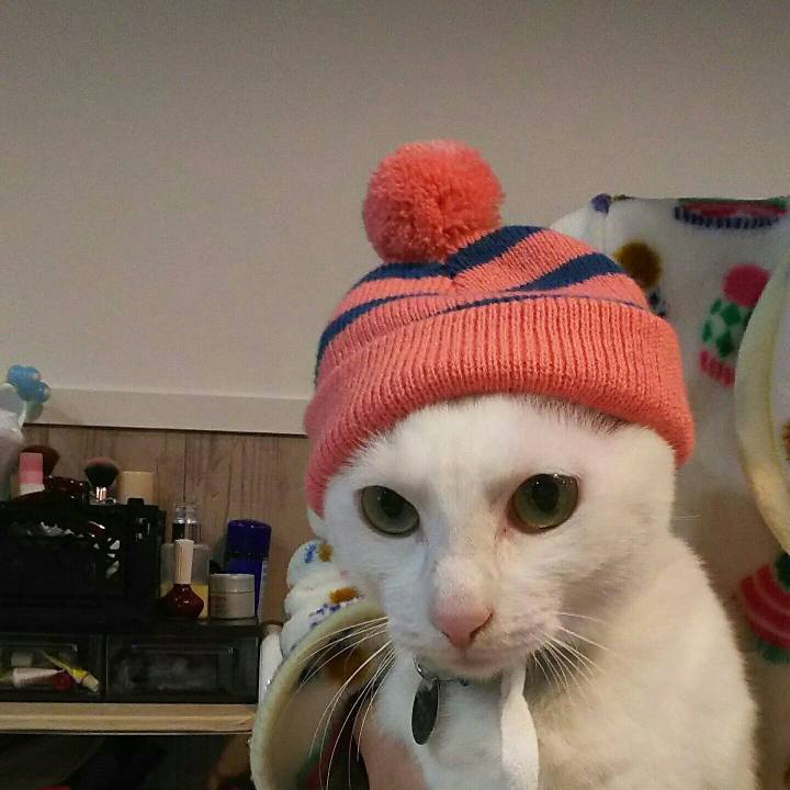 87f16733 8757 4638 8425 4fc3c929862a 1514811797150