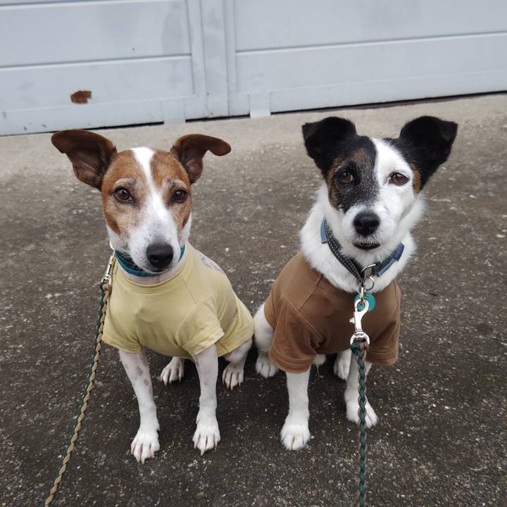 87f16947 eb33 4194 9daf 231ddf0e79ab 1758924449423