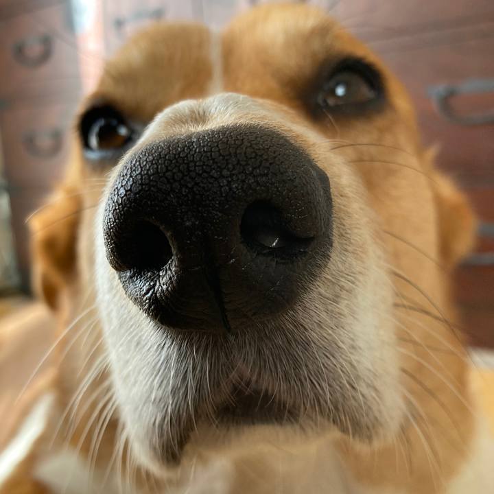 87f191b7 d6b5 459c bb22 a15a738ba585 1740790807665