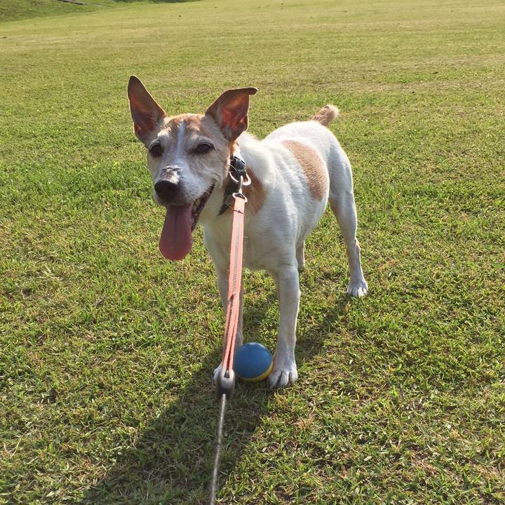 87f19fea d07c 42d5 99bd 2fbbcb9fb09b 1525184250513