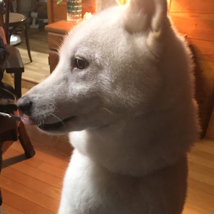 87f1a5ca 48f9 4873 9b70 973e52a54994 1541669507288