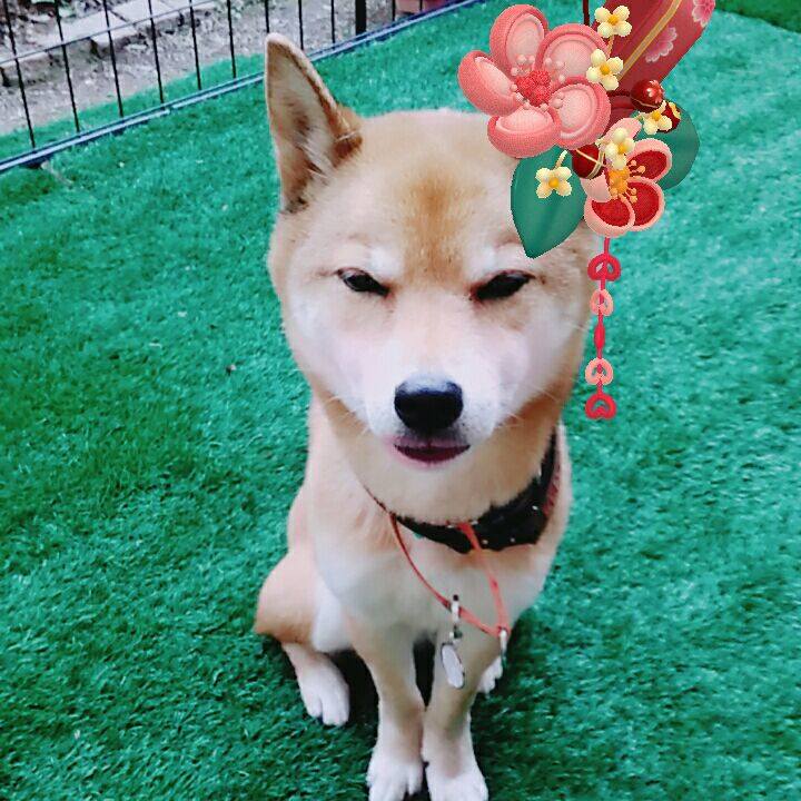 87f1baa6 8677 4adc 9ae0 0227f9839030 1578293724217