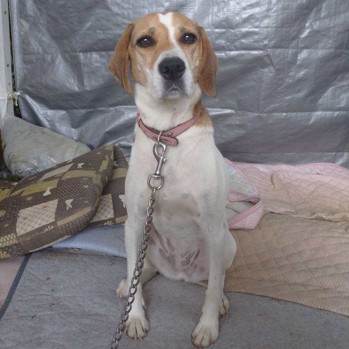 87f1d8a2 0b09 447c 9965 40a1f42c9dec 1600743804076