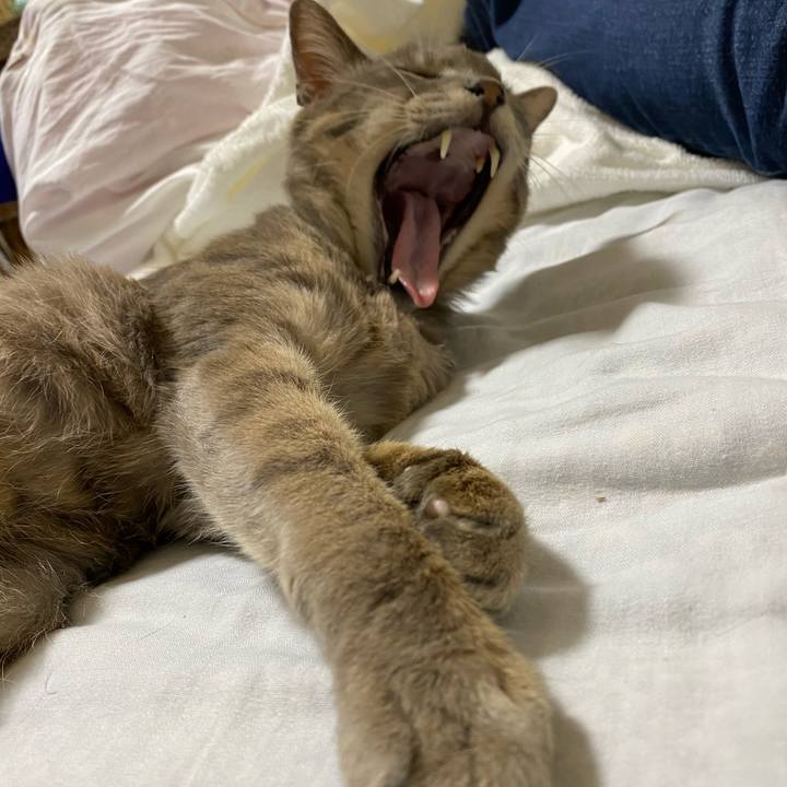 87f212be c1bb 481a a0c2 1c81afe125b8 1596438728918