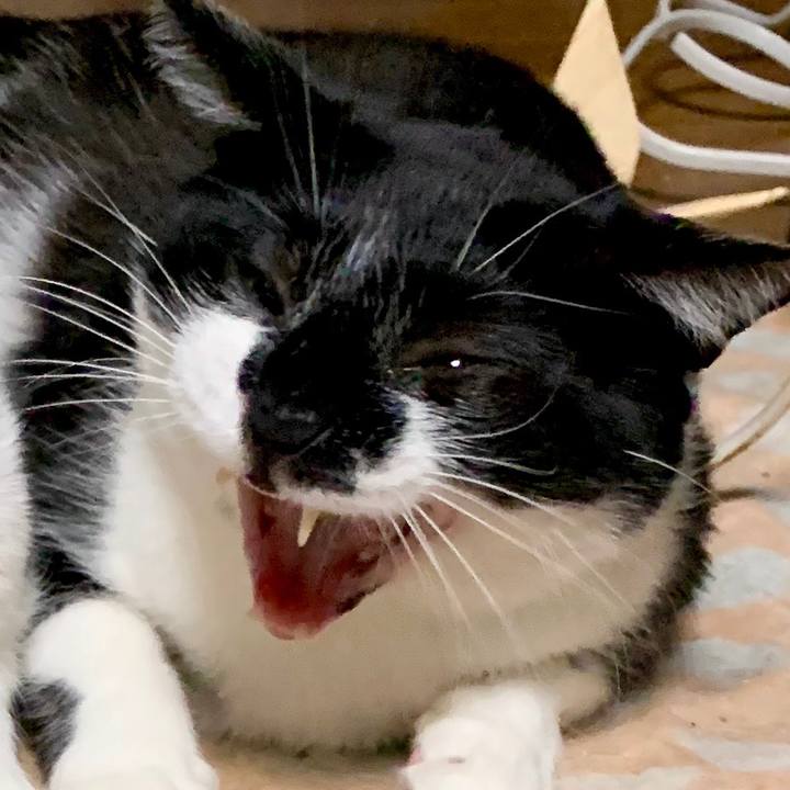 87f23926 442f 42ef 9b49 e49914600d49 1604197057259