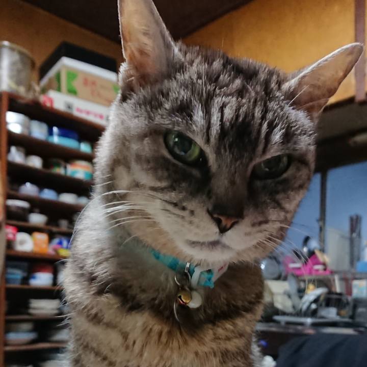 87f23f78 c75d 43df 8a44 bec3954095f9 1553979148338