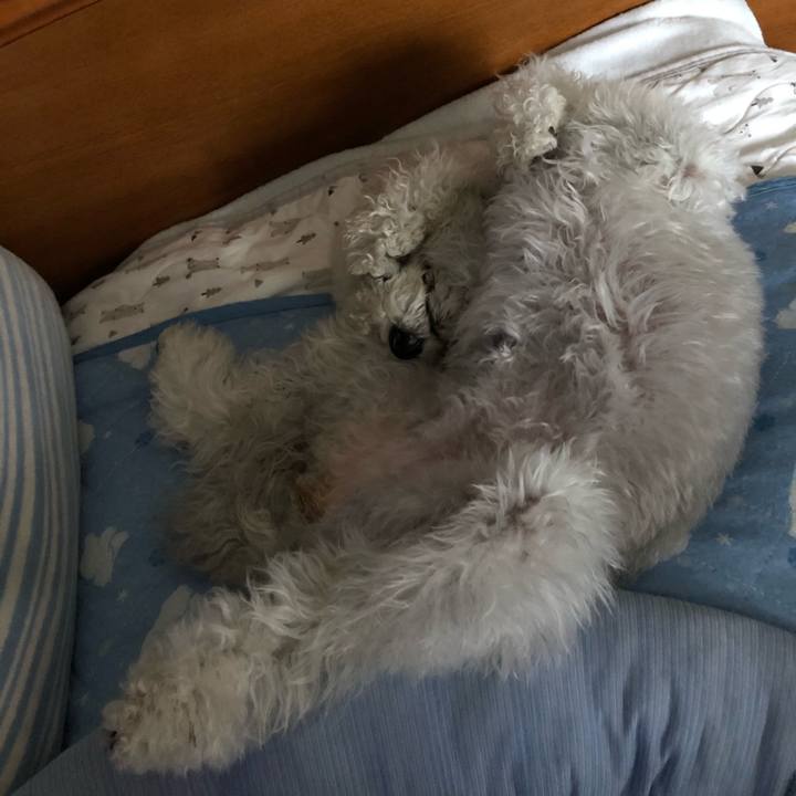 87f242b4 5910 467a bcfc 5eaa1416931a 1598165330321