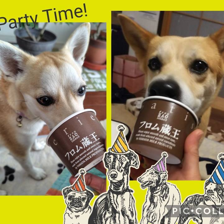 87f24e25 8ba0 4e97 9de1 acdd3c45b252 1772775496620